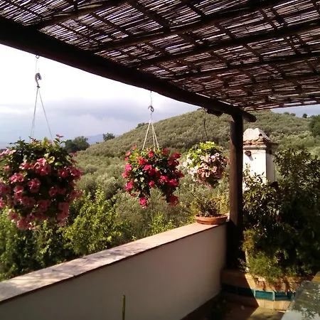Masseria Sparano Alloggio per agriturismo